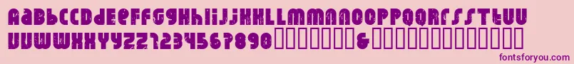 Rhino Raja Font – Purple Fonts on Pink Background