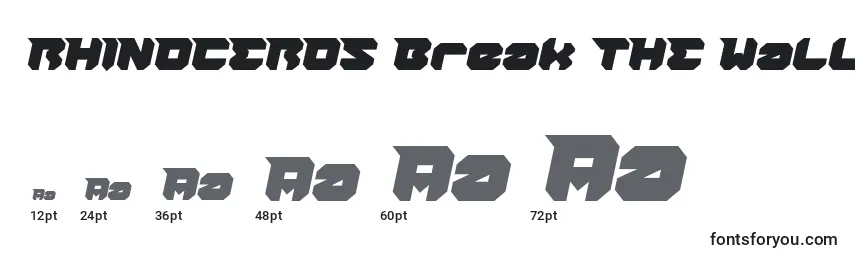 RHINOCEROS Break THE Wall Bold Italic-fontin koot
