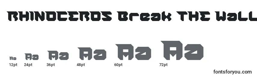 RHINOCEROS Break THE Wall Font Sizes