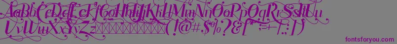 Rhonde Free-Schriftart – Violette Schriften auf grauem Hintergrund