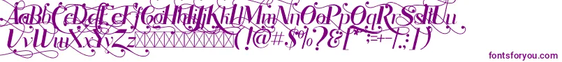 Rhonde Free-Schriftart – Violette Schriften auf weißem Hintergrund