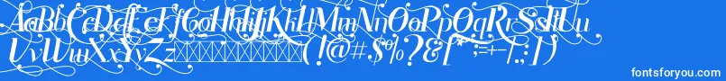 Rhonde Free-Schriftart – Weiße Schriften auf blauem Hintergrund