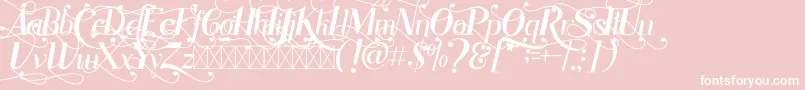 Rhonde Free-Schriftart – Weiße Schriften auf rosa Hintergrund