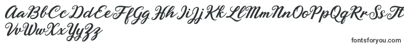 Rhyanie Lane Font – Script Fonts