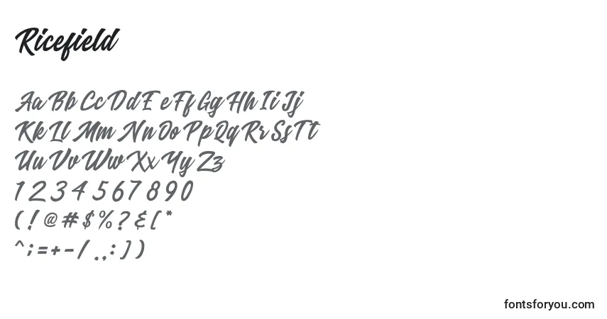 Fuente Ricefield - alfabeto, números, caracteres especiales