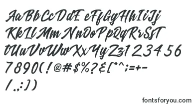 Ricefield font – stretched Fonts
