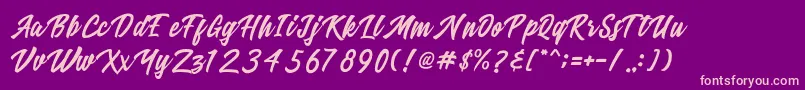 Ricefield Font – Pink Fonts on Purple Background