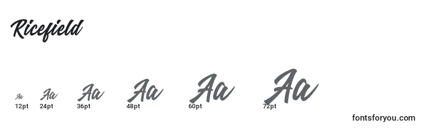 Ricefield Font Sizes