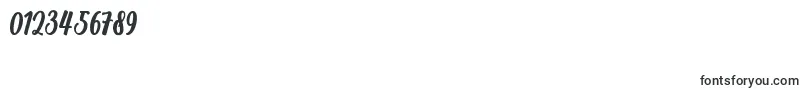 Richardine Font – Fonts for Numbers and Digits