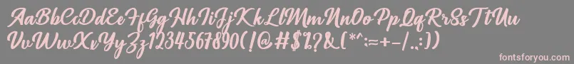 Richardine Font – Pink Fonts on Gray Background
