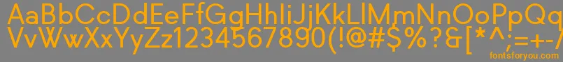 Richkid Regular Font – Orange Fonts on Gray Background