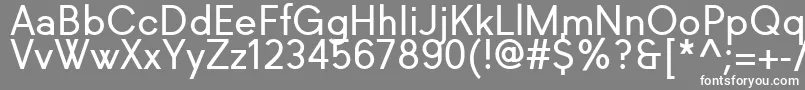 Richkid Regular Font – White Fonts on Gray Background