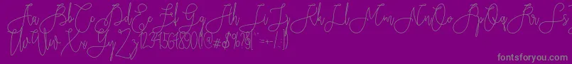 Rieesflomeo Font – Gray Fonts on Purple Background
