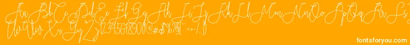 Rieesflomeo Font – White Fonts on Orange Background