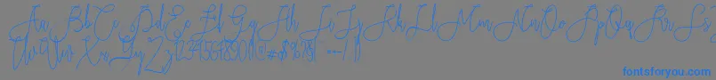Rieesflomeo Font – Blue Fonts on Gray Background