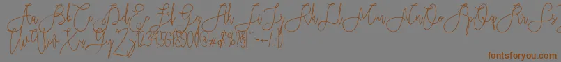 Rieesflomeo Font – Brown Fonts on Gray Background