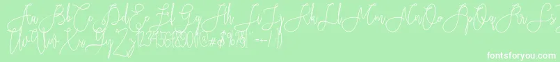 Rieesflomeo Font – White Fonts on Green Background