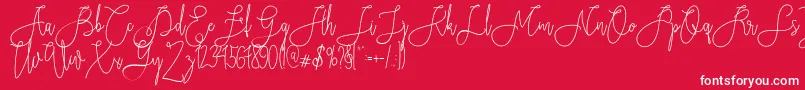 Rieesflomeo Font – White Fonts on Red Background