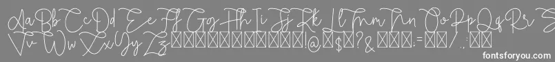 Rietha Font – White Fonts on Gray Background