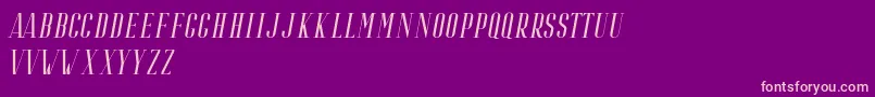 Riffle Italic Font – Pink Fonts on Purple Background