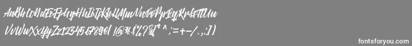 フォントRight Times Font – 灰色の背景に白い文字