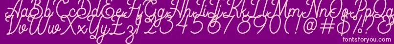 Rigoletto Demo Font – Pink Fonts on Purple Background