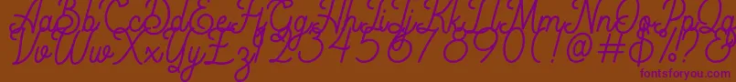 Rigoletto Demo-Schriftart – Violette Schriften auf braunem Hintergrund