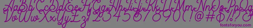 Rigoletto Demo Font – Purple Fonts on Gray Background