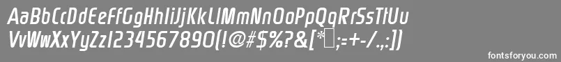 Rinehart Oblique Font – White Fonts on Gray Background