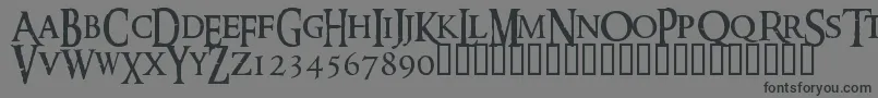 RINGM   -Schriftart – Schwarze Schriften auf grauem Hintergrund