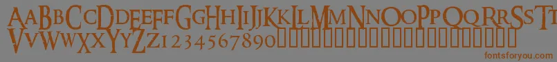 Подробнее о шрифте RINGM Шрифт RINGM – коричневые шрифты на сером фоне