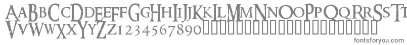 フォントRINGM    – 白い背景に灰色の文字