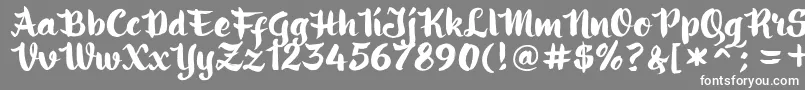 フォントringotube script – 灰色の背景に白い文字