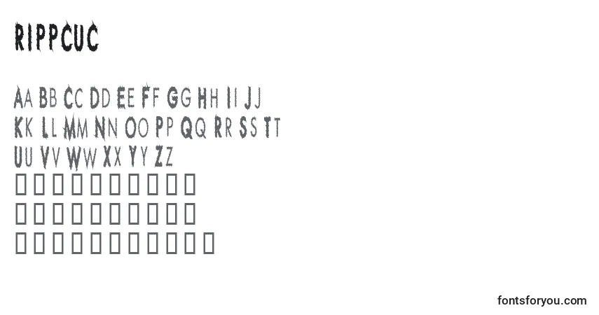 Schriftart RIPPCUC  (138767) – Alphabet, Zahlen, spezielle Symbole