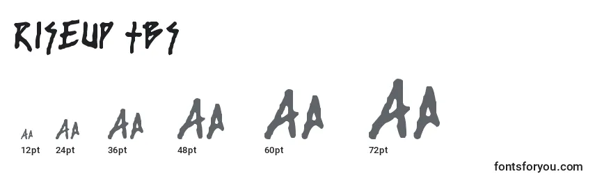 Riseup tbs Font Sizes