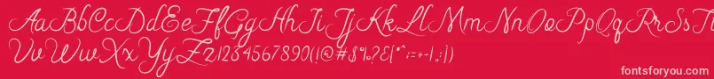 Riska Script Font – Pink Fonts on Red Background