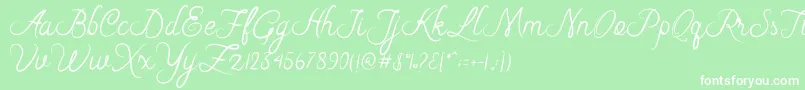 Riska Script Font – White Fonts on Green Background