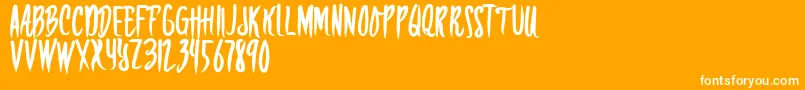RISKERA DEMO-Schriftart – Weiße Schriften auf orangefarbenem Hintergrund