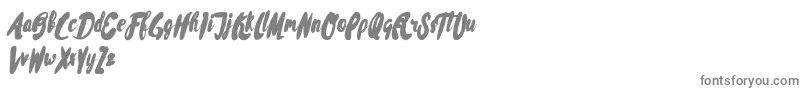 Rissa Typeface Demo-Schriftart – Graue Schriften auf weißem Hintergrund
