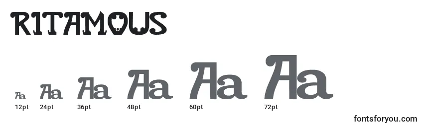 Размеры шрифта RITAMOUS