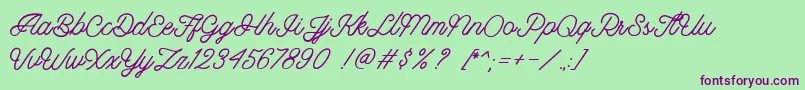 Riverside DEMO Font – Purple Fonts on Green Background