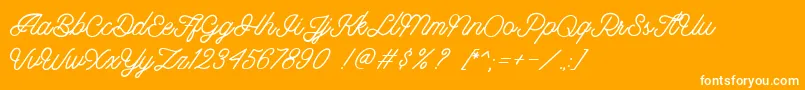 Riverside DEMO Font – White Fonts on Orange Background