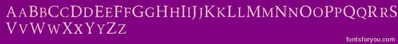 Road Race Rough Font – Pink Fonts on Purple Background