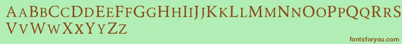 Road Race Rough Font – Brown Fonts on Green Background