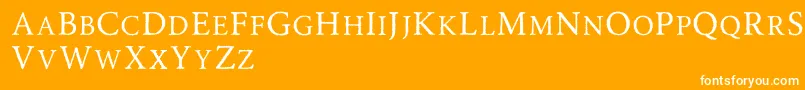 Road Race Rough Font – White Fonts on Orange Background