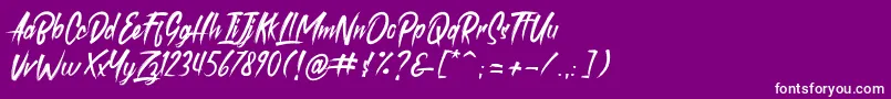 roastink demo Font – White Fonts on Purple Background