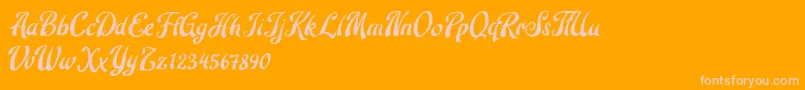 Robert Barack Font – Pink Fonts on Orange Background
