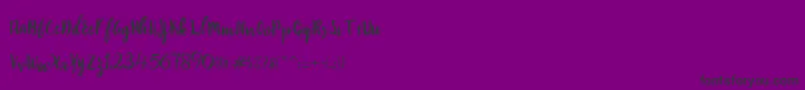 Robert Font – Black Fonts on Purple Background