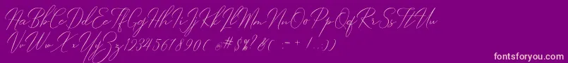 Robertortiz Font – Pink Fonts on Purple Background
