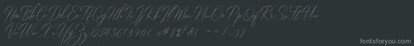 Robertortiz Font – Gray Fonts on Black Background